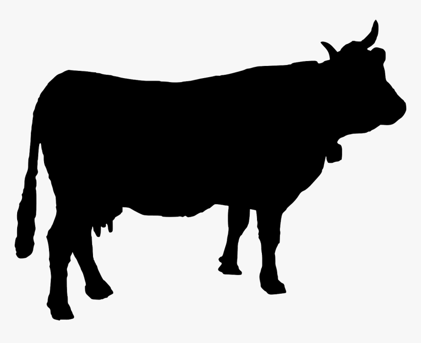 Free Cow Silhouette Vector, HD Png Download