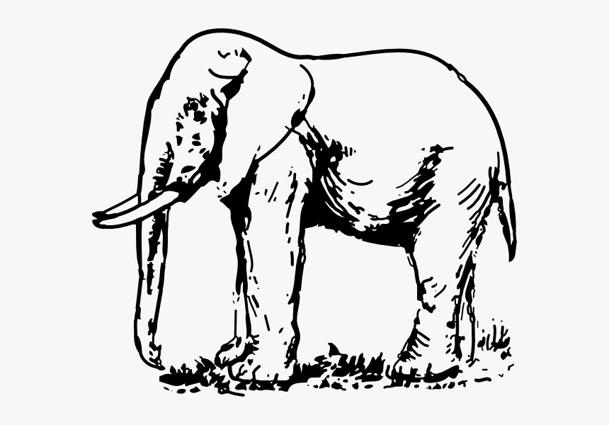 Elephant Images Black And White, HD Png Download
