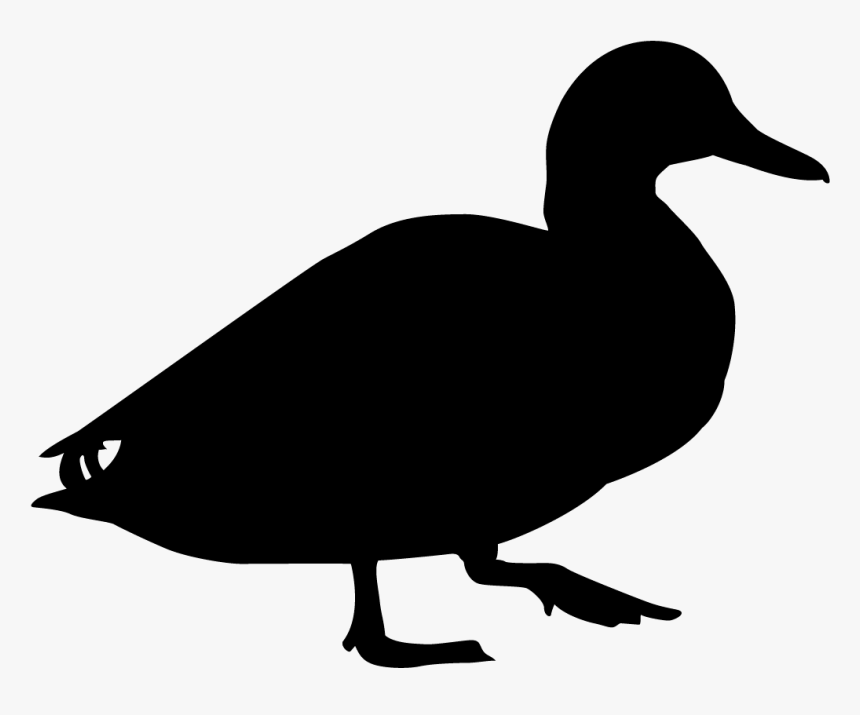 Blue Winged Teal Silhouette, HD Png Download