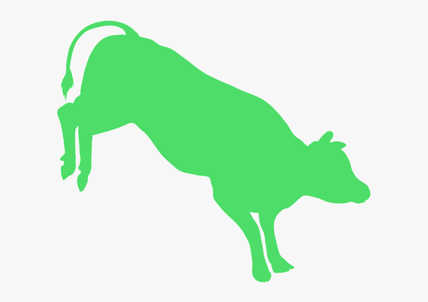 Dog Catches Something, HD Png Download