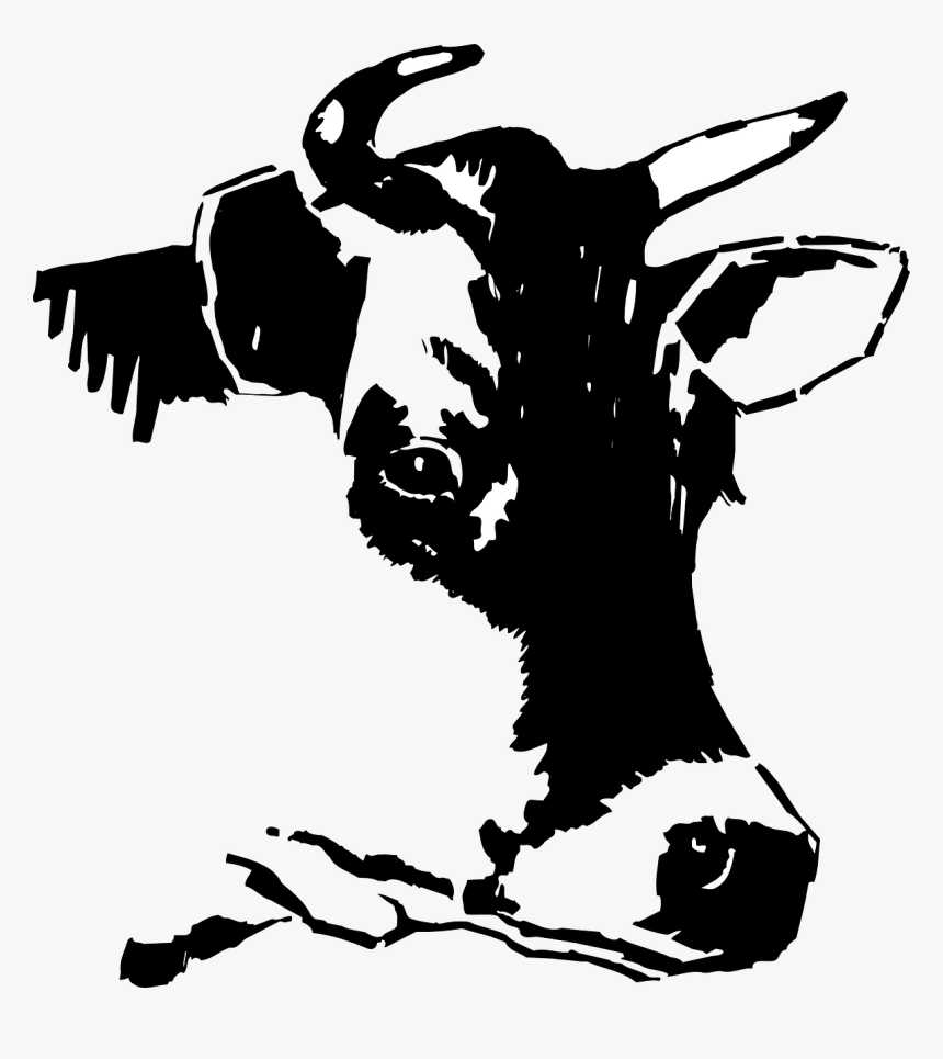 Cabeza De Vaca Png, Transparent Png