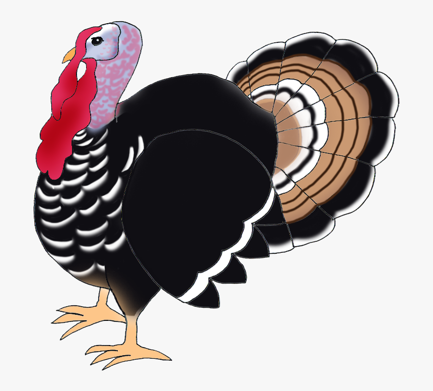 Portable Network Graphics, HD Png Download