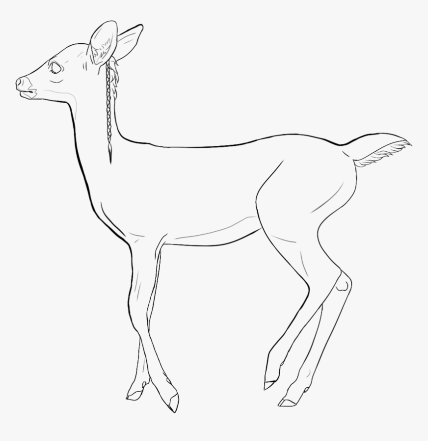 Dear Drawing Fawn, HD Png Download