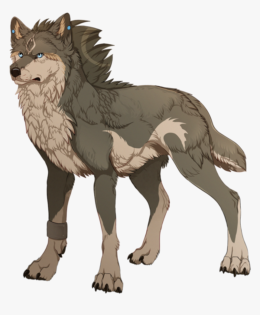 Male Anime Wolf Photo, HD Png Download