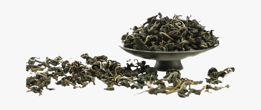 Nilgiri Oolong Tea Leaf Png Hd Image, Transparent Png