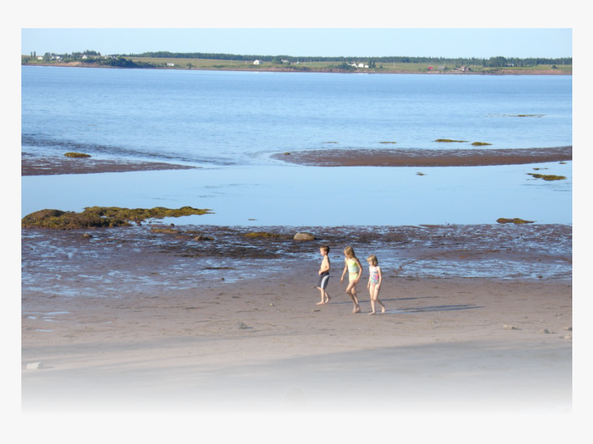 Beach Ridge, Png Download, Transparent Png , Transparent Png Image ...