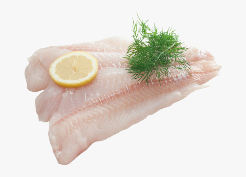 Fish Meat Png