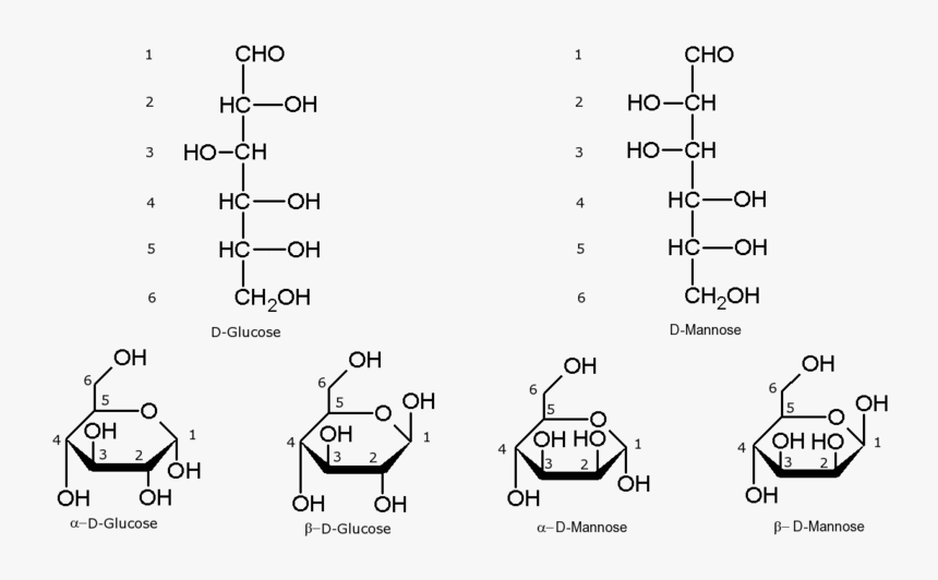 File - Hexoseshemiacetal, HD Png Download