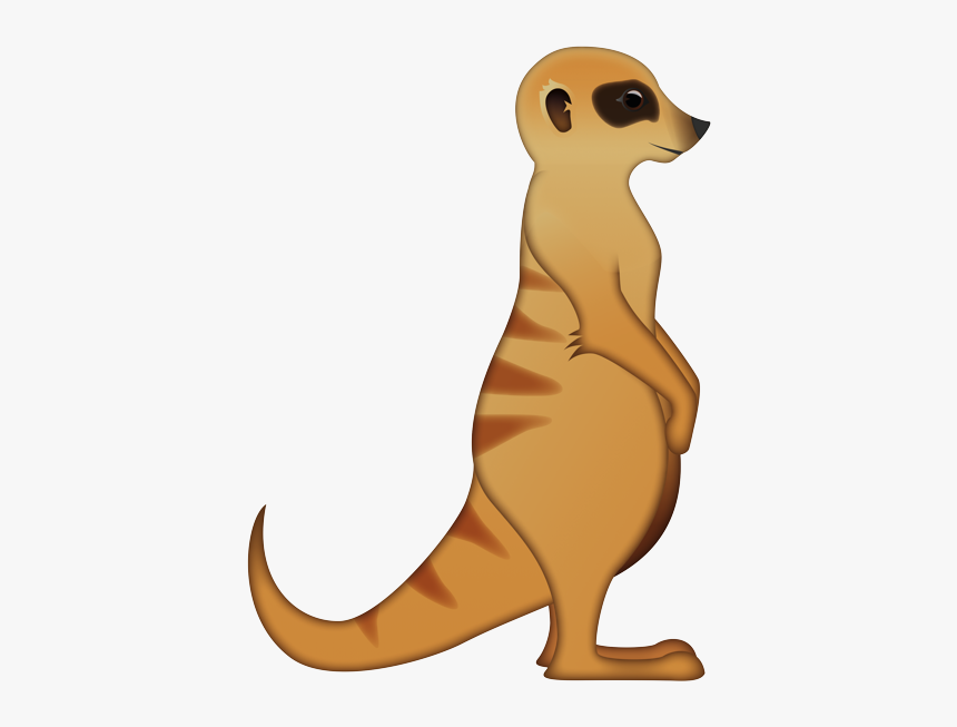 Meerkat Png, Transparent Png