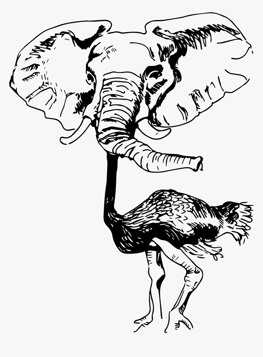 Ostrich Elephant Hybrid, HD Png Download