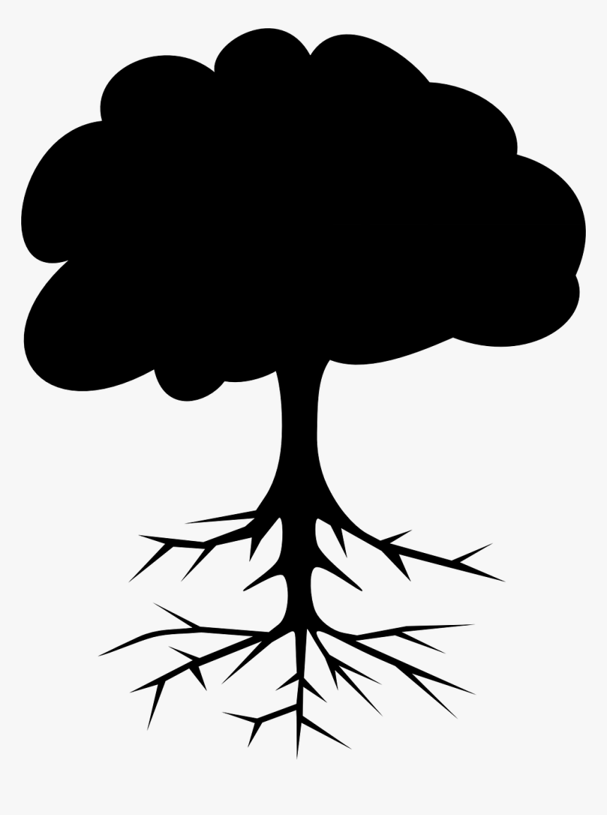 Transparent Tree Section Png - Name Of Tree Part, Png Download