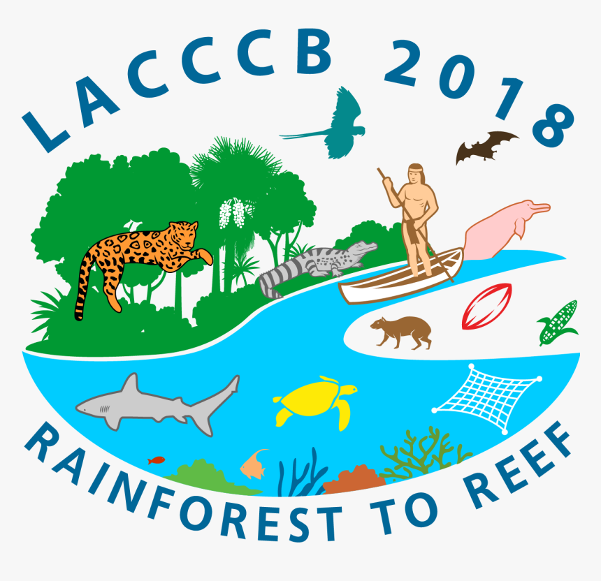 Transparent Tree Section Png - Lacccb2018, Png Download