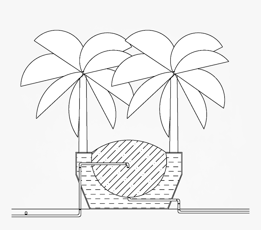 Section Banana Tree - Illustration, HD Png Download