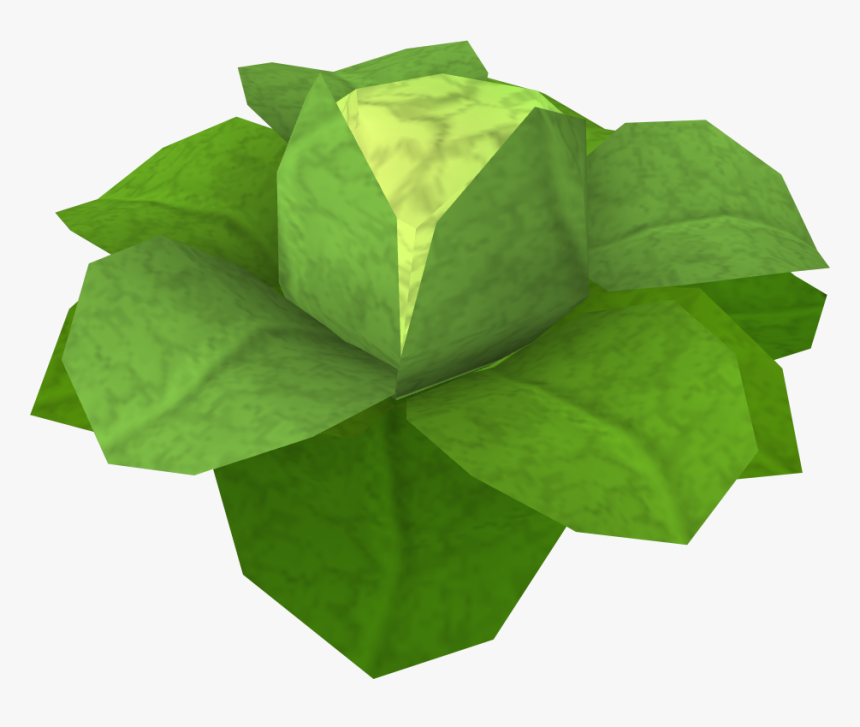 Cabbage Rs, HD Png Download