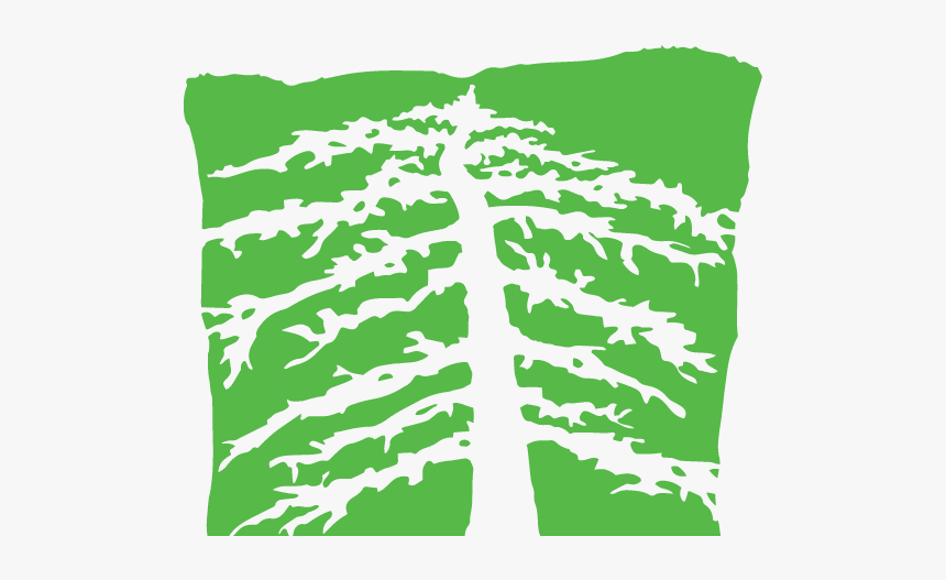 Cushion, HD Png Download