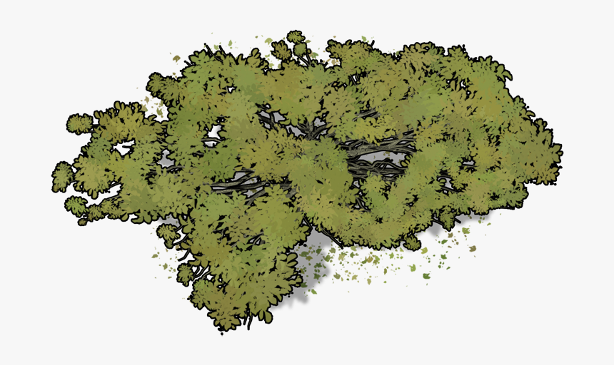 Transparent Fall Leaves - Tree, HD Png Download