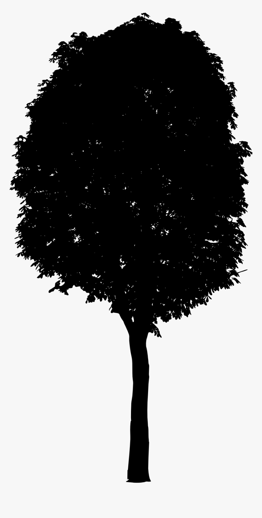 Tree-2 - Black Tree Silhouette Png, Transparent Png