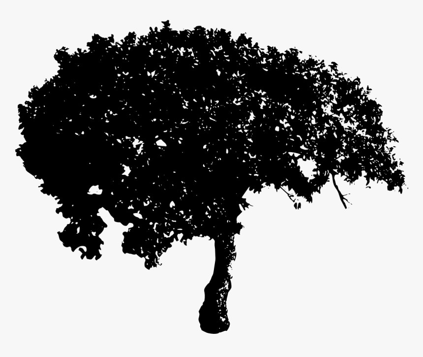 Tree-3 - Illustration Png Free Download, Transparent Png