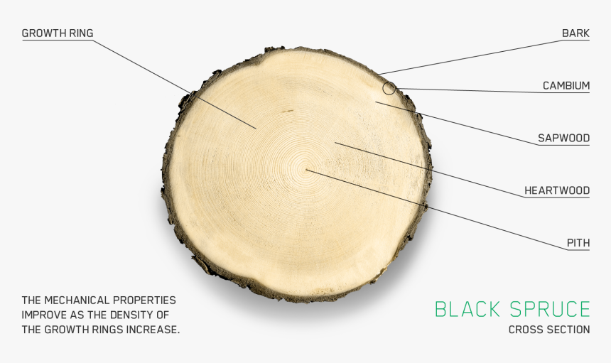 Circle, HD Png Download