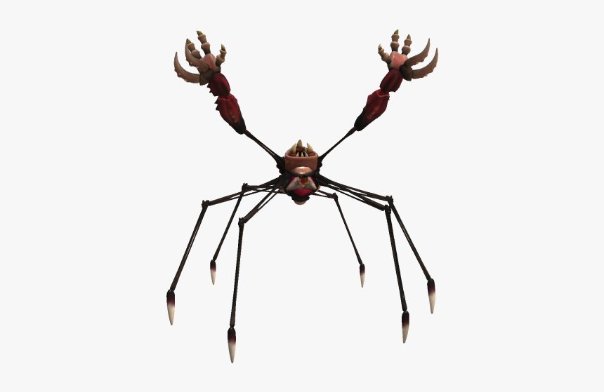 Phorrc - Spider, HD Png Download