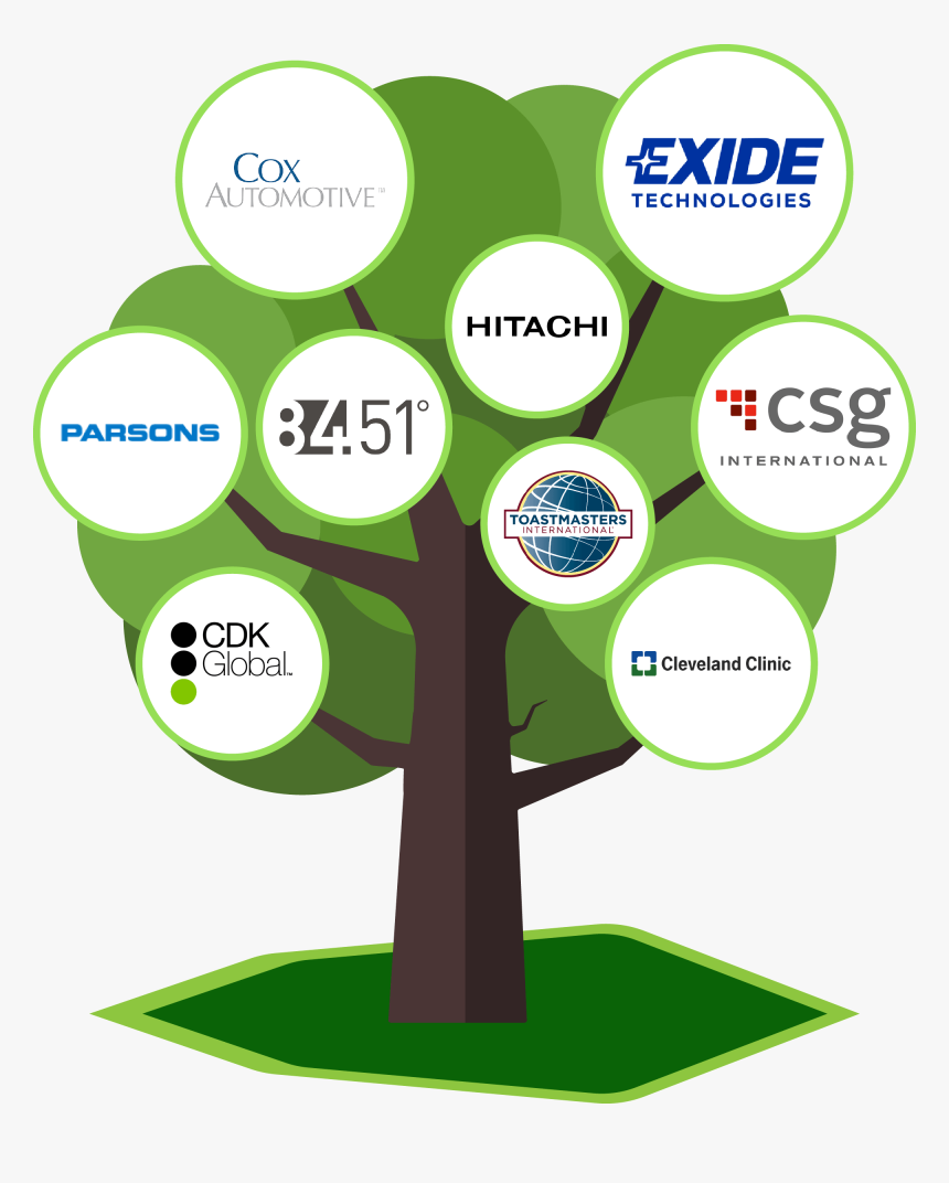 Tree, HD Png Download