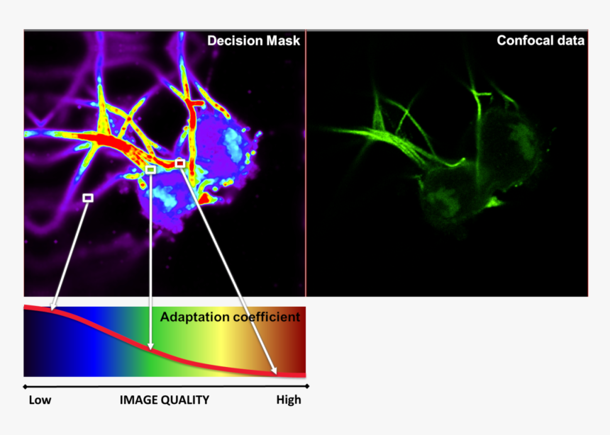 Graphic Design, HD Png Download