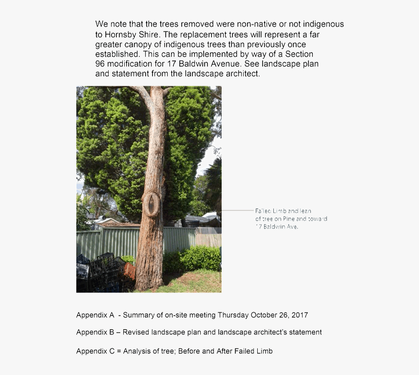 Pdf Creator - Forest, HD Png Download