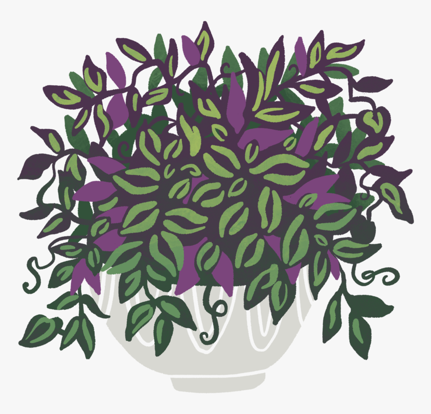 5 - Illustration, HD Png Download