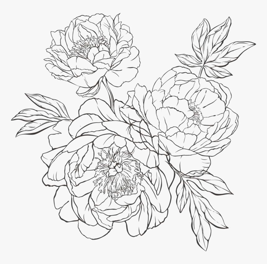 To Handing Out Paper Flowers I Hand Crafted For My - Line Art, HD Png Download