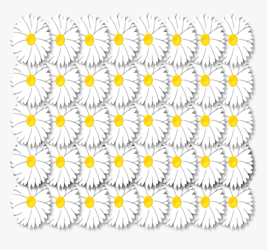 Daisy, HD Png Download