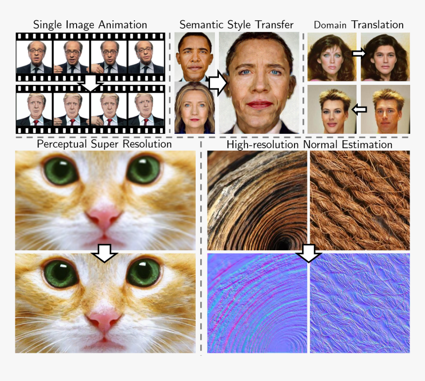 Tabby Cat - Domestic Short-haired Cat, HD Png Download