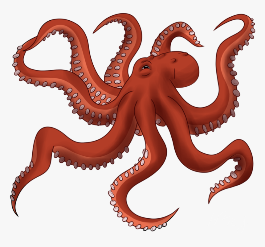 Transparent Octopus Clipart - Octopus Png, Png Download