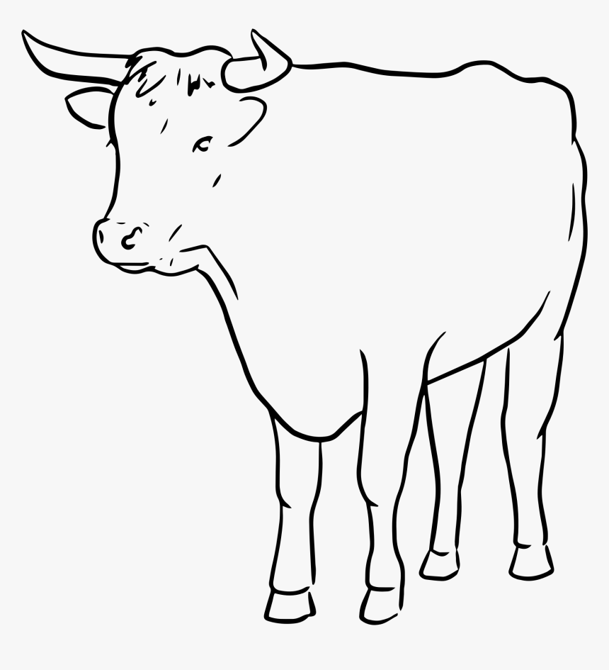 Cow Drawing Artistic - Bull And Cow Drawing, HD Png Download