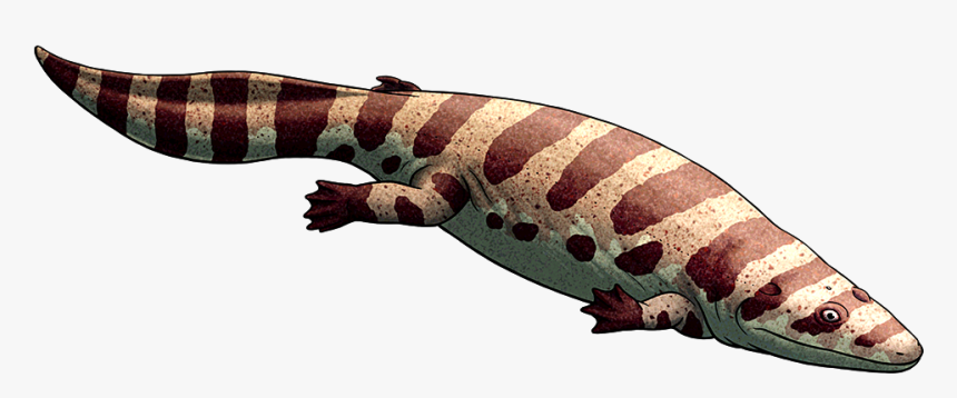 Transparent Giant Monster Png - Gila Monster, Png Download