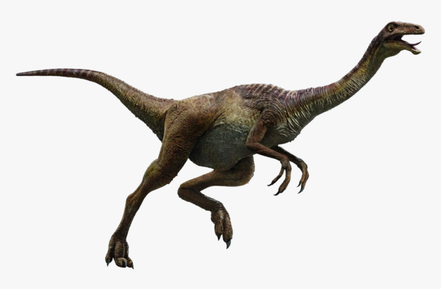 Transparent Velociraptor Png - Jurassic World Dinosaurs Gallimimus, Png Download