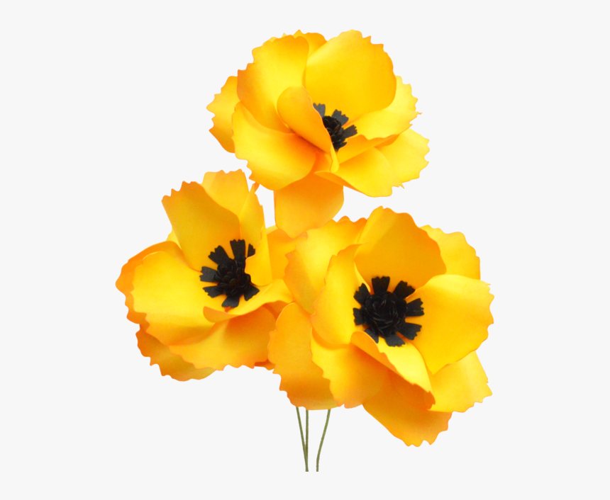 Poppy Family, HD Png Download