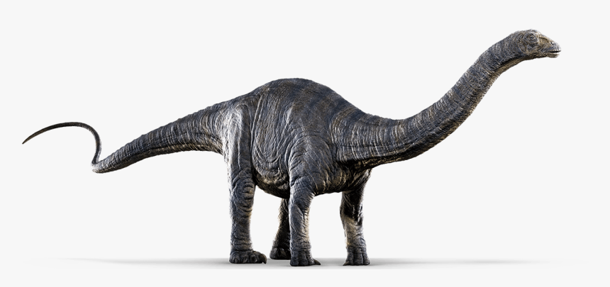 Jurassic World Dinosaurs Png - Jurassic World Apatosaurus, Transparent Png