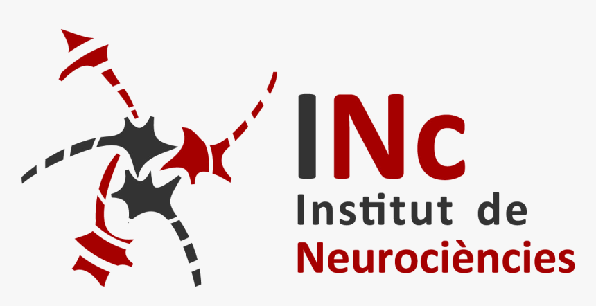 Institut De Neurociencies Uab, HD Png Download