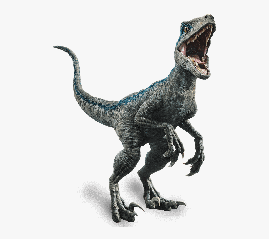 Jurassic World Fallen Kingdom - Velociraptor Blue, HD Png Download