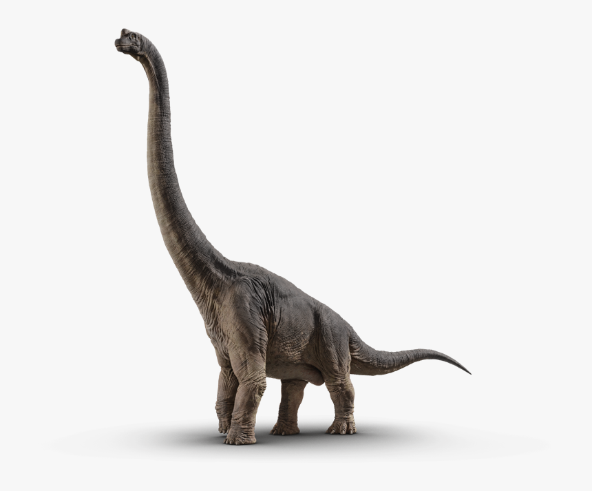 Brachiosaurus - Dinossauro Jurassic World Png, Transparent Png