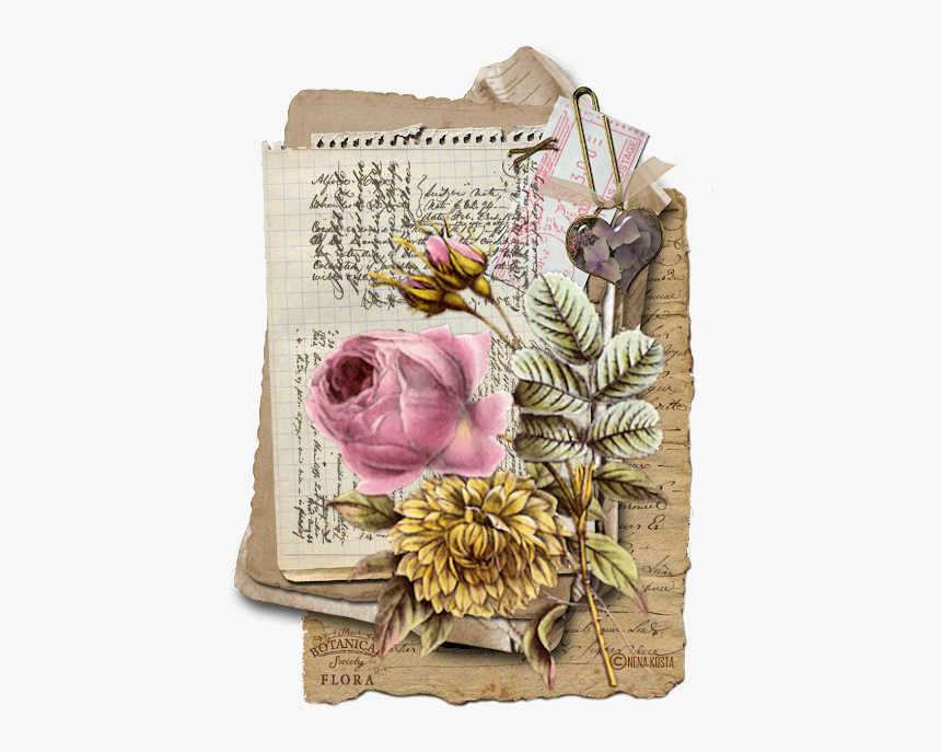 Floribunda, HD Png Download