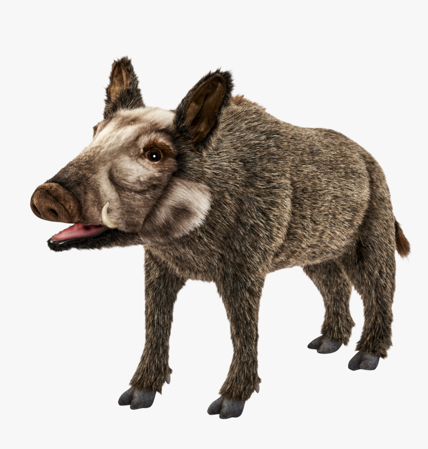 Wild Boar Png Images Download - Pig Donkey, Transparent Png