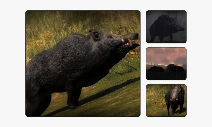 Thehunter Wikia - Hunter Call Of The Wild Boar, HD Png Download