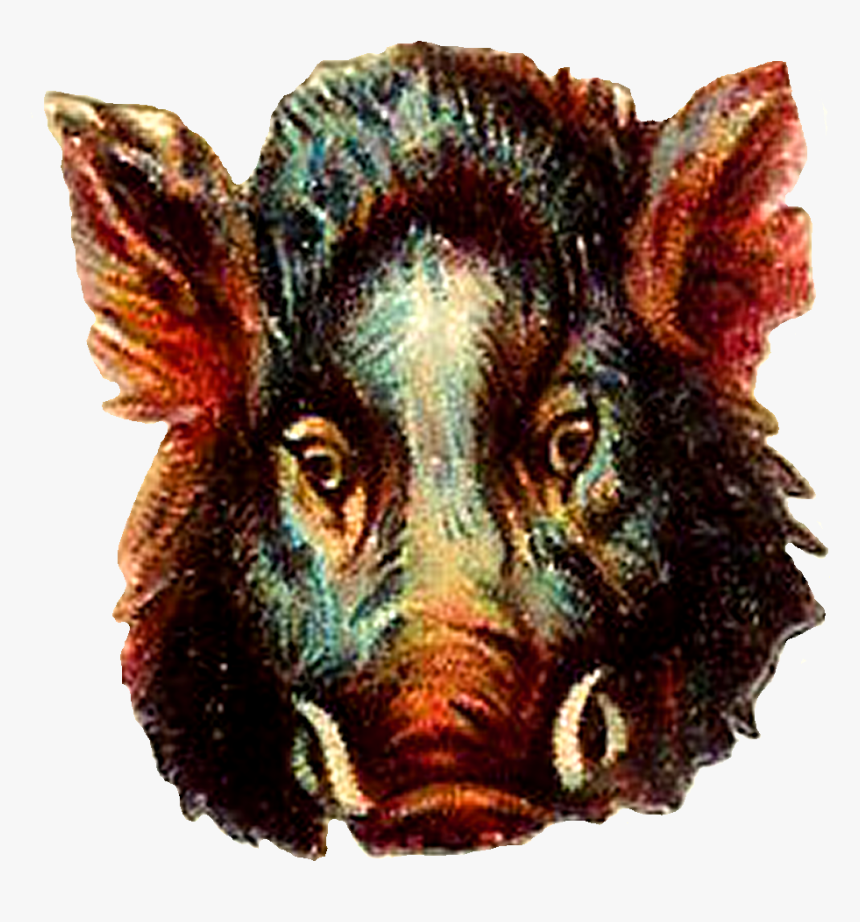Transparent Buffalo Png - Portable Network Graphics, Png Download