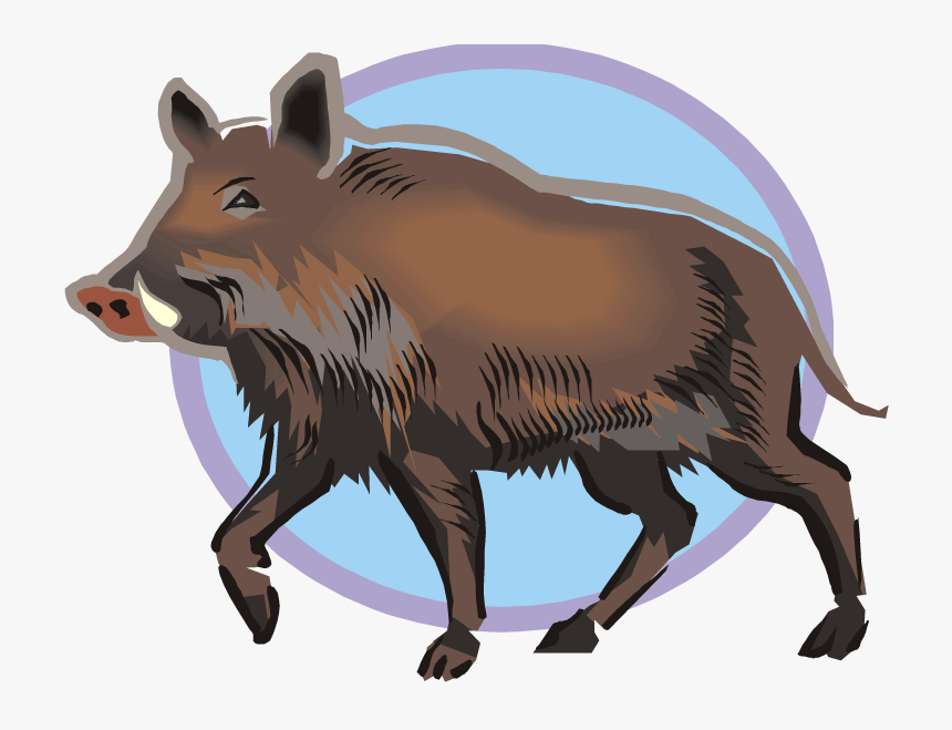 Кабан картинка пнг
