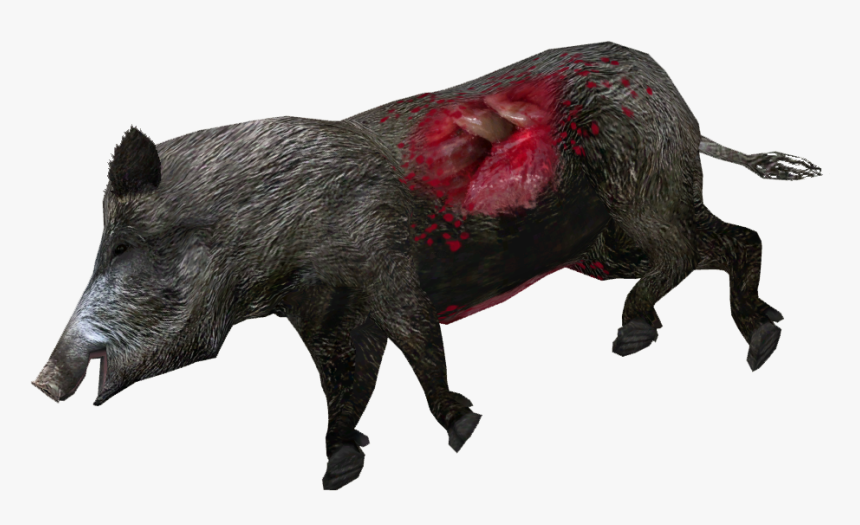 Dead Wild Boar , Png Download - Wild Boar, Transparent Png