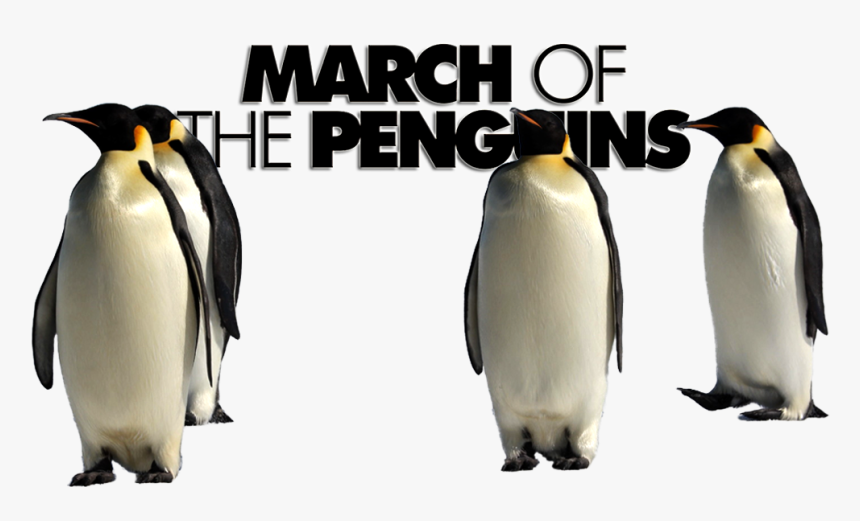 March Of The Penguins Png, Transparent Png