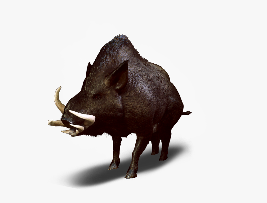 Кабан картинка пнг