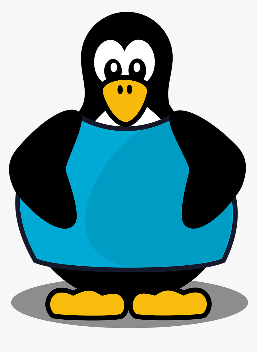 Penguin Wearing A Shirt, HD Png Download