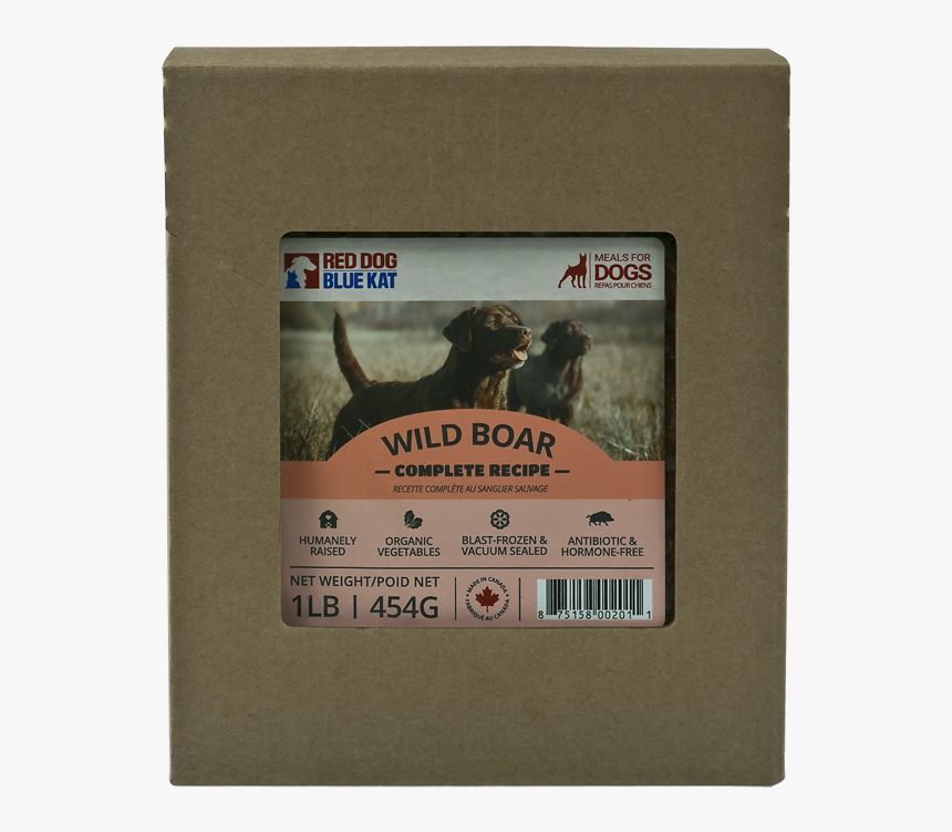 Boardog1 - Dog, HD Png Download